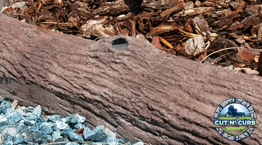 Bark Texture