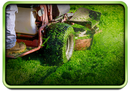 Service - Lawn Maintenance