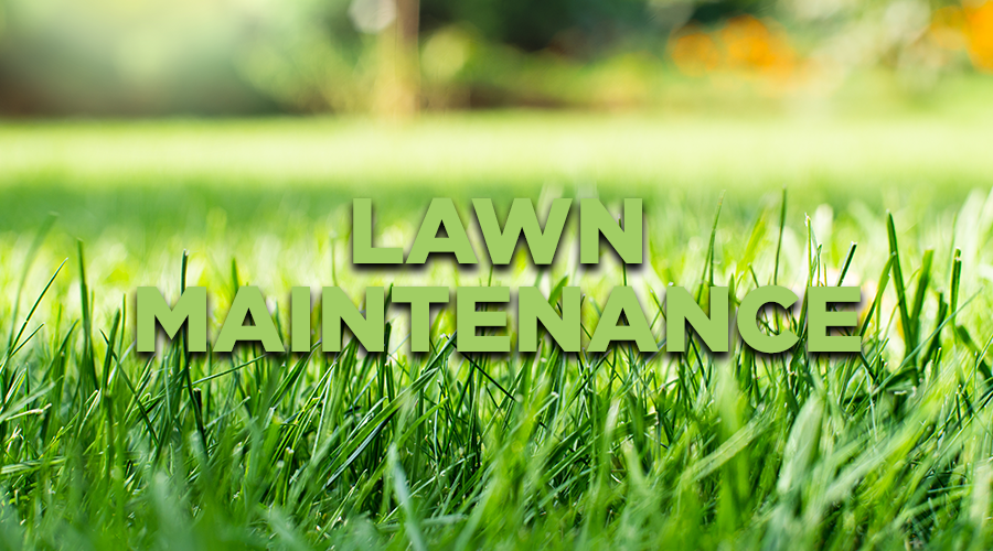 Lawn Maintenance